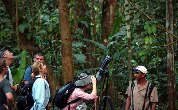 Parque Nacional Corcovado