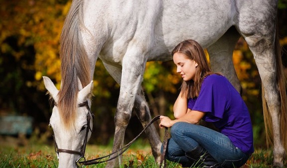 Diet Pet Horse