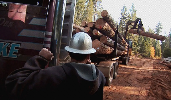 Forest Trucks    Inspections