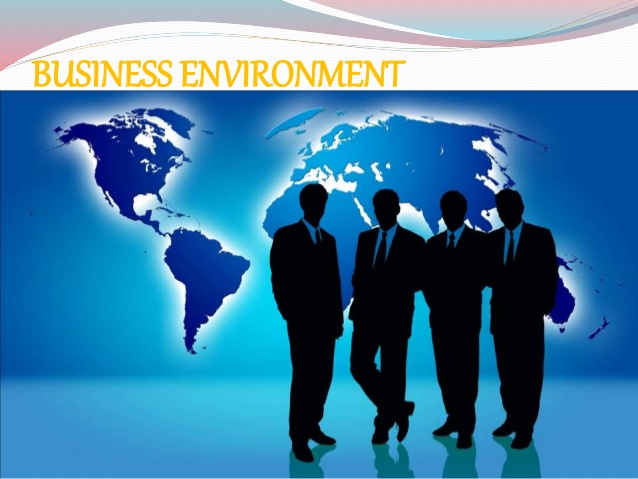 Business Environment11